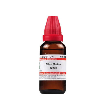https://cdn.shopify.com/s/files/1/1857/6931/products/AJv7TZ9UFa.jpg?v=1640865819
